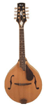 image of  an "A style" mandolin.
