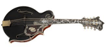 A bluegrass mandolin