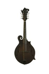 image of a Bluegrass Mandolin