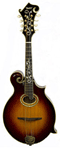 Image of an F4 mandolin