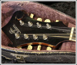 image of mandolin for St. Anne's Reel.