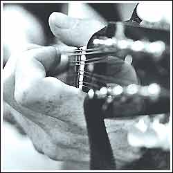 image of an open chord on mandolin.